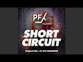 Download Lagu SHORT CIRCUIT - DJ PFX KOLHAPUR | Official Video | #circuit #guaracha #tektribal #tribal