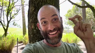 Question: How Do You Get a Job with a FAANG Company