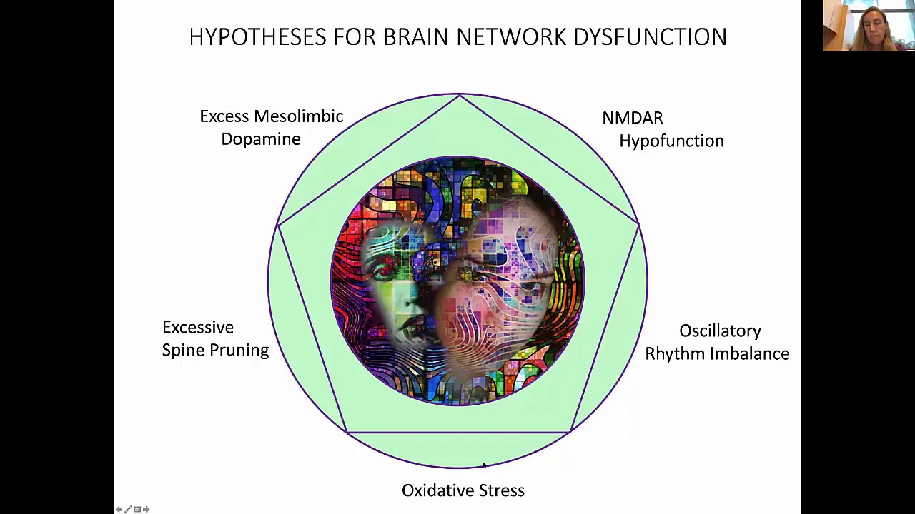 Amygdala Inhibitory Neuron Dysfunction in Schizophrenia | Neuroscience Seminar