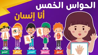 أنشودة الحواس الخمس أنا إنسان لي إحساس صوت عذب بدون موسيقى  أنشودة الحواس الخمس أنا إنسان لي إحساس صوت عذب بدون موسيقى