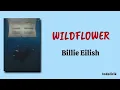 WILDFLOWER - Billie Eilish | Lirik Terjemahan