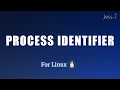 Process ID Write Your Own Shell Part 1