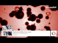 Download Lagu Dankann \u0026 Antillas feat. Laurell - When You Love Someone (Club Mix)