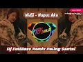 Download Lagu Dj Hapus Aku Remix Terbaru 2024