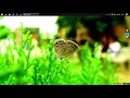 Selenium Java Training Trial Class 2 Whizdom Trainings