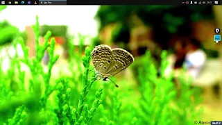 Selenium Java Training Trial Class 2 Whizdom Trainings