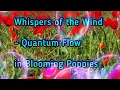 Whispers of the Wind - Quantum Flow in Blooming Poppies
