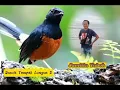 Download Lagu Susuit Tampak Lungun 2~Jumitin Yaboh