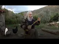 Download Lagu Özgür Baba - Dertli Dolap