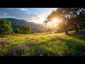 Download Lagu Calm Mind Wildflower Field Ambience with Bees, Birds \u0026 Gentle Breeze for Stress Relief \u0026 Meditation