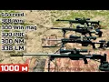 1000 - 338LM 300 PRC 300 NM 300 win mag 308 win 6 5 creedmoor