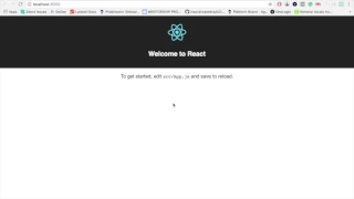 Start a react app without webpack configurations