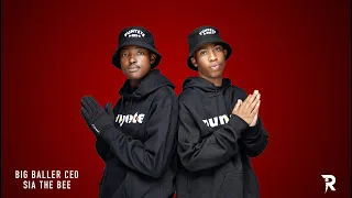 big baller ceo u0026 sia the bee redlivestudio show