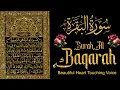 Download Lagu Surah-Al-Baqarah Full (سورة البقره)🕋 | MOST HEART💕TOUCHING QURAN RECITATION || Listening Every Day🎧