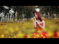 Download Lagu Bukit Berbunga - Vien Is Haryanto - Yonas Pareira