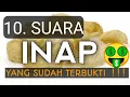 Download Lagu Suara Inap Walet Terbaik terbukti Menginapkan / download suara inap walet GRATIS