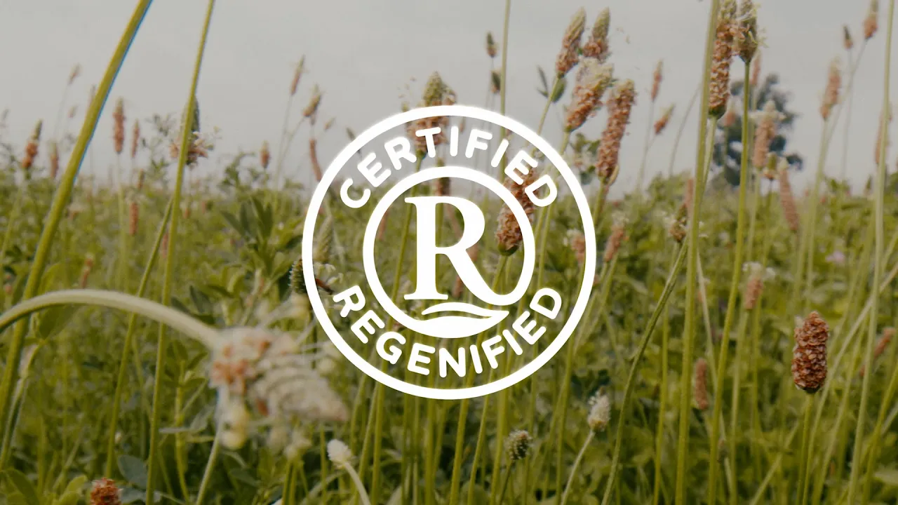 Regenified Certification, Leading the Way in Regenerative Agriculture