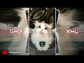 Download Lagu PRESET AM🎟 || 5MB + XML || DJ WALAUPUN PUASA SERIBU TAHUN 🎶