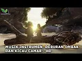 Download Lagu MUSIK INSTRUMEN \u0026 SUARA DEBURAN OMBAK DISERTAI KICAU BURUNG CAMAR  ( 06 CRS 2022 ) 1 JAM , HD