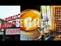 The Most Aesthetic Coffee Shops in Seattle Better Than Starbucks
