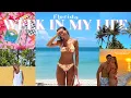 WEEK IN MY LIFE Beach day sunrise 1st influener event etc