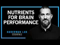 Food Supplements for Brain Health Cognitive Performance Huberman Lab Essentials