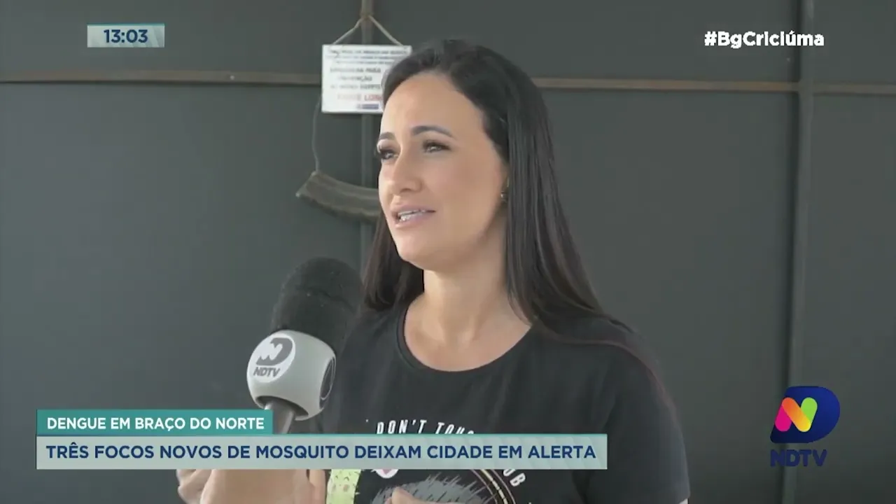Três novos focos do mosquito da dengue deixam Braço do Norte em alerta