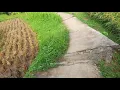 Download Lagu Jalan jalan ke pesawahan
