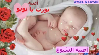 نورت يا نونو   أغنية السبوع   دندنها