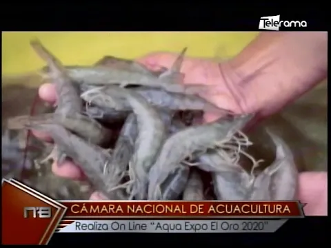 Cámara Nacional de Acuacultura Realiza On Line Aqua Expo El Oro 2020