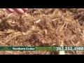 Northern Cedar Mulch