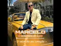 Download Lagu O SERESTEIRO DE LUXO  CD 2021