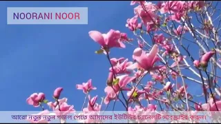 aj na hoy kal tumi zaiba kobore islamicteacherofficial786
