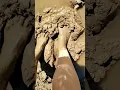 Barefoot In Muddy Puddles