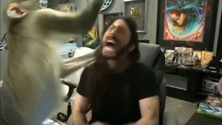Ai Monkey Rips off Mo1st Cr1tical’s hair