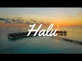 Download Lagu Feby Putri - Halu ( Lirik )