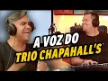 Download Lagu Alemão do forró e Carlinhos Rocha cantam sucessos do Trio Chapahalls