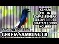 Download Lagu MASTERAN MURAI BATU FULL ISIAN TEMBAKAN KENARI CILILIN KAPAS TEMBAK LOVEBIRD SIKATAN LONDO