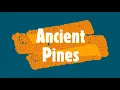 Loreena Mckennitt - Ancient Pines