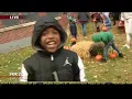 String Theory Schools - Pumpkin Patch