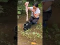 Download Lagu How big fish did the girl catch? #fish #forest #fishing #skills #survival
