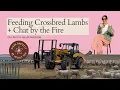 Download Lagu Feeding our Crossbred Lambs + A Personal Chat by the Fire | Why I say \