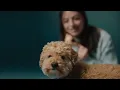 VCA Canada Anthem 7 Second Spot People Behind the Pets Veterinarians Animal Hospitals
