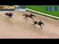 Oaklawn Park April 4 2026 The 53rd Running of RAINBOW STAKES