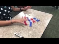 Mitosis demo with beads