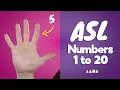 How to Count to 20 in Sign Language ASL Numbers 1-20 ASL Counting