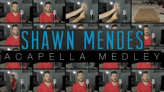 Download Shawn Mendes (ACAPELLA Medley) - In My Blood, Stitches, Lost in Japan, Mercy and MORE! MP3