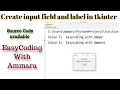 Python GUI with Tkinter Input flied python