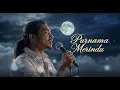 Lagu PURNAMA MERINDU - SITI NURHALIZZ COVER ROCK VERSION -COVER SITI NURHALIZA PURNAMA MERINDU VERSI ROCK