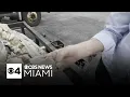 Beloved Miami Beach seashell menorah retired after 20 years due to deterioration